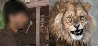 Man Unleashed Lion
