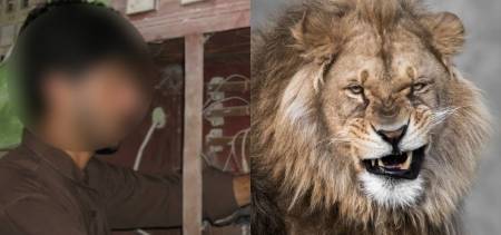 Man Unleashed Lion