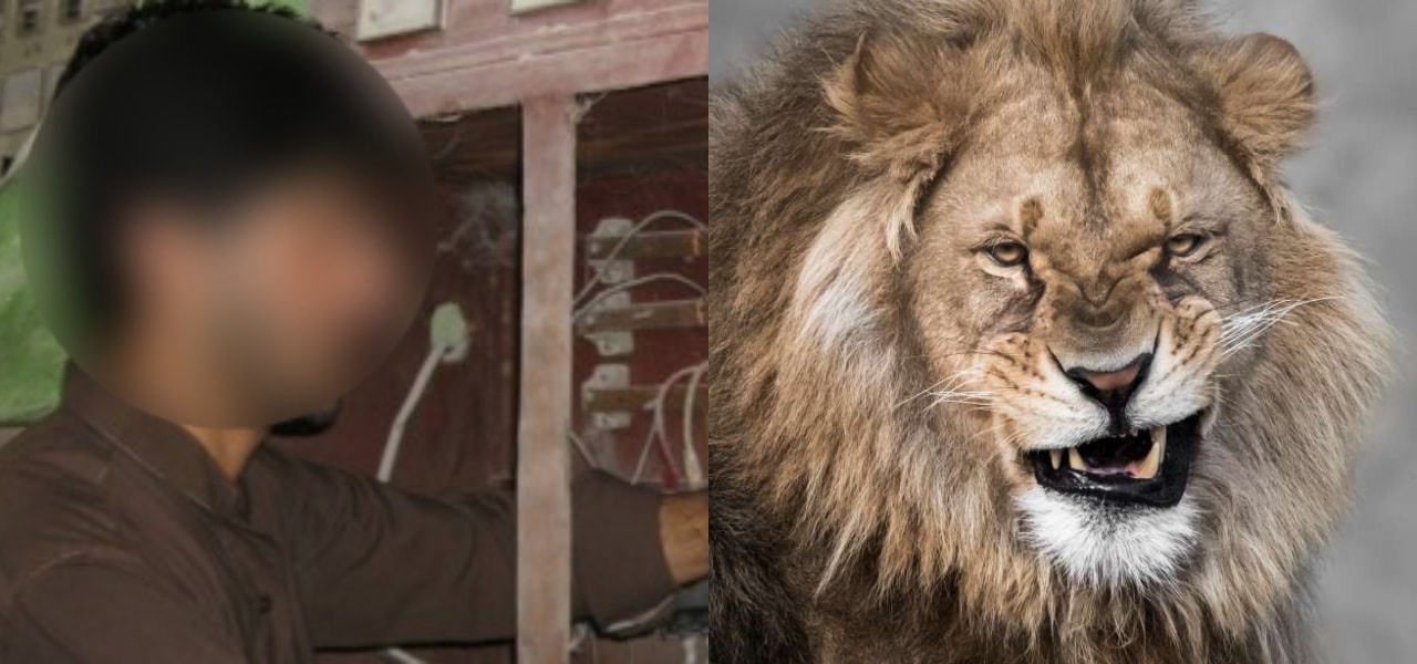 Man Unleashed Lion