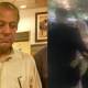Maryam Nawaz returns to jail
