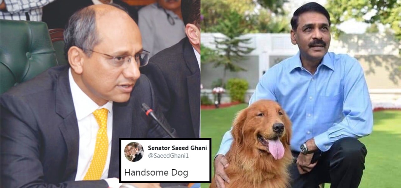 Senator Saeed Ghani