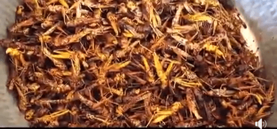 Tharparker Tidda Biryani