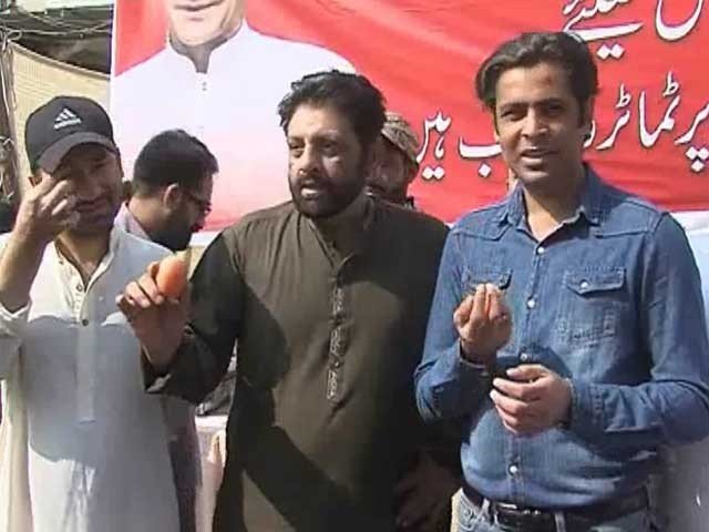 Tomato stall by PTI MNA