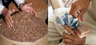 1 crore 20 lacs worth of chilgozay stolen from Waziristan warehouse