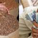 1 crore 20 lacs worth of chilgozay stolen from Waziristan warehouse