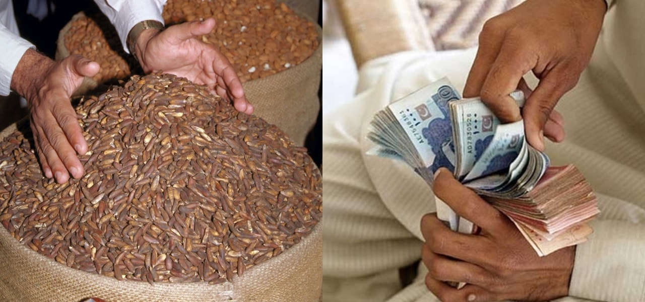 1 crore 20 lacs worth of chilgozay stolen from Waziristan warehouse