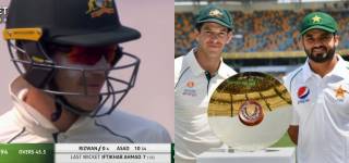 tim paine comments