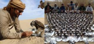 Qatari arrested hunting