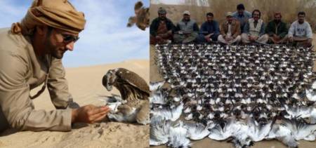Qatari arrested hunting