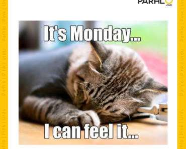 it's monday