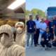 srilankan airlines rescue student