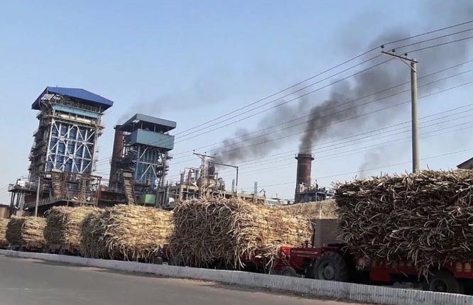 Jehangir Tareen Sugar Prices