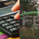 FBR Tax Amnesty