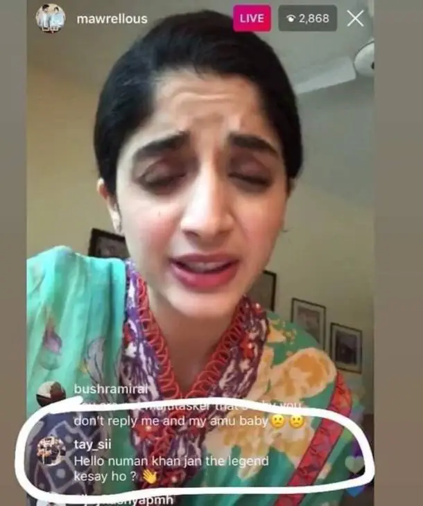 maera hocae- Pakistani celebrity-coronavirus-meme