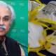 FIA Inquiry Zafar Mirza Masks