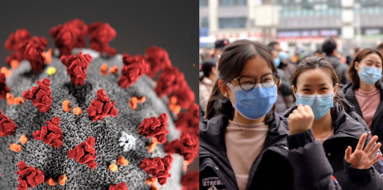 history of coronavirus