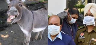 coronavirus in India