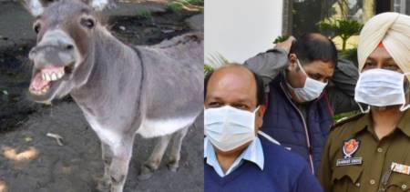 coronavirus in India