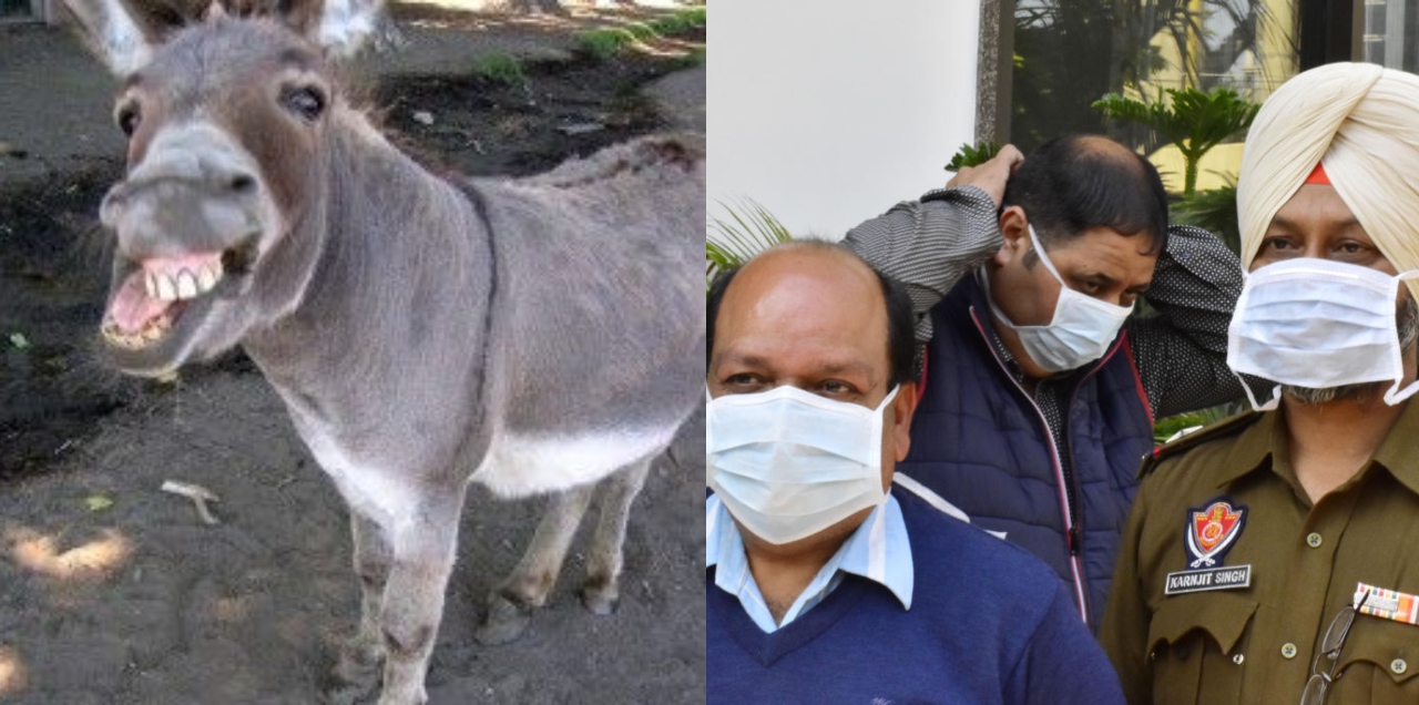 coronavirus in India