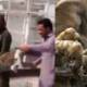 punjab raptor killings