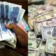 dollar rises pakistani rupee