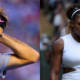 wimbledon cancels championships