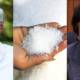 Fia report: sugar crisis