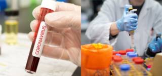coronavirus recovery in Pakistan
