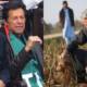 Sugar crisis PTI