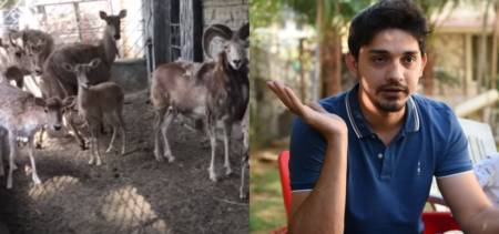 Pakistani Mini Zoo Home