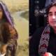 Acute Water Shortage Devastates The Lives Of People In Tharparkar