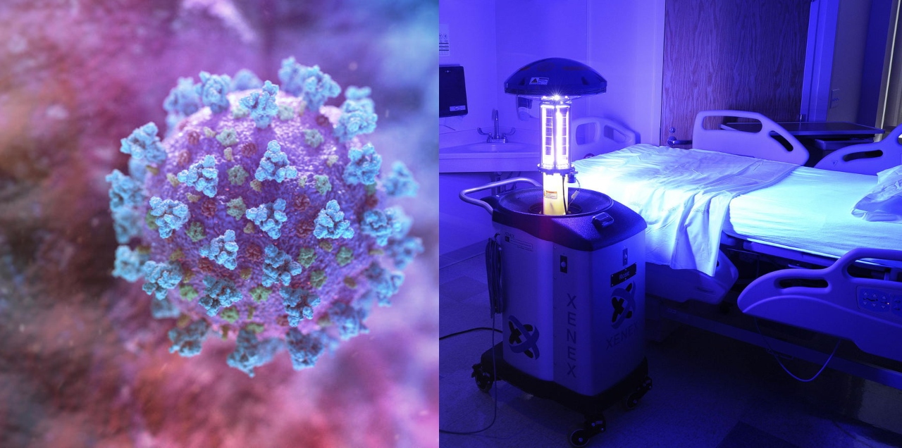 coronavirus light
