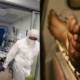 rise in death cases