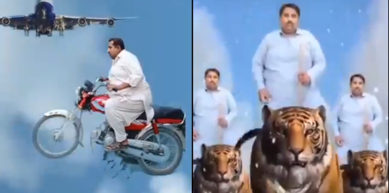 jam safdar tik tok