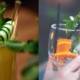 Mint lemonade recipe