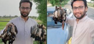 A Government Official In D.I.Khan Mercilessly Hunts Rosy Starlings