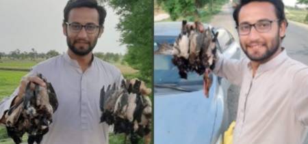 A Government Official In D.I.Khan Mercilessly Hunts Rosy Starlings