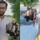 A Government Official In D.I.Khan Mercilessly Hunts Rosy Starlings