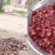 A Man In DI Khan Slaughters Hundreds Of Sparrows For Hunting