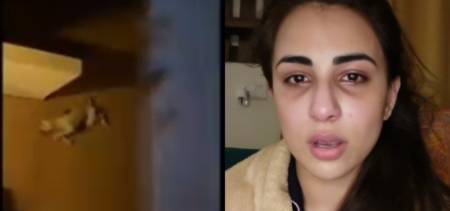 animal abuse in bahria town