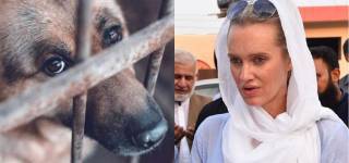 Shaniera Akram Tweets Disturbing Video Of Animal Cruelty Says "Ashamed Of Being Human"