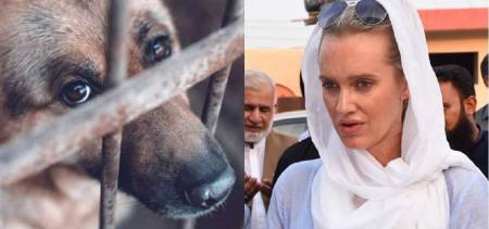 Shaniera Akram Tweets Disturbing Video Of Animal Cruelty Says "Ashamed Of Being Human"