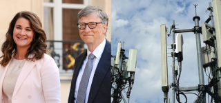 covid-19