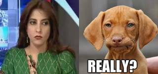 PPP's Palwasha Khan Uses Foul Language For PTI Leaders, Calls Them ‘Mad Dogs’