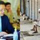 Government Ease Lockdown