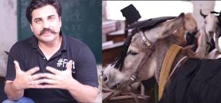 Alamgir Khan Exposes Schools Sindh