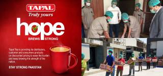 Tapal CSR