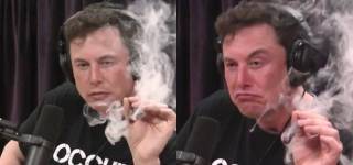 elon musk on drugs