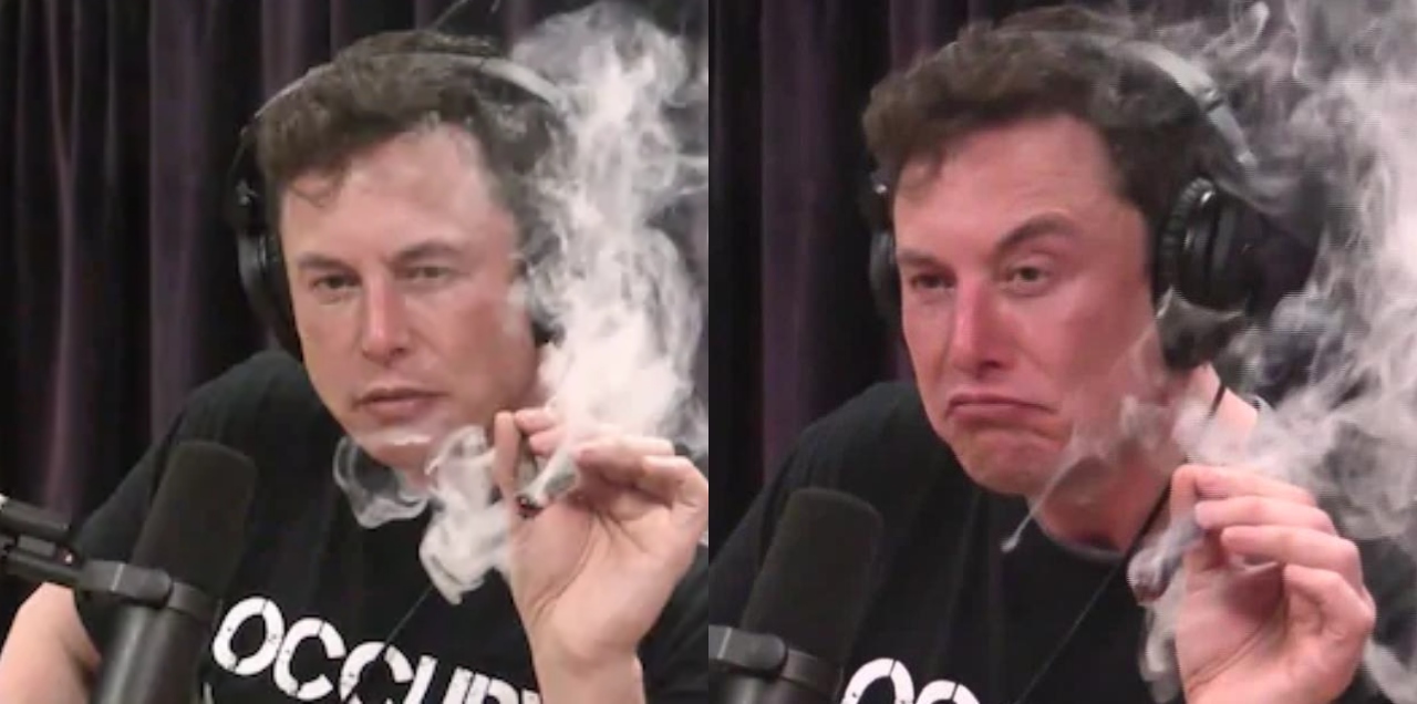 elon musk on drugs