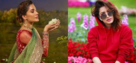 mehwish hayat